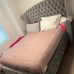 Bed