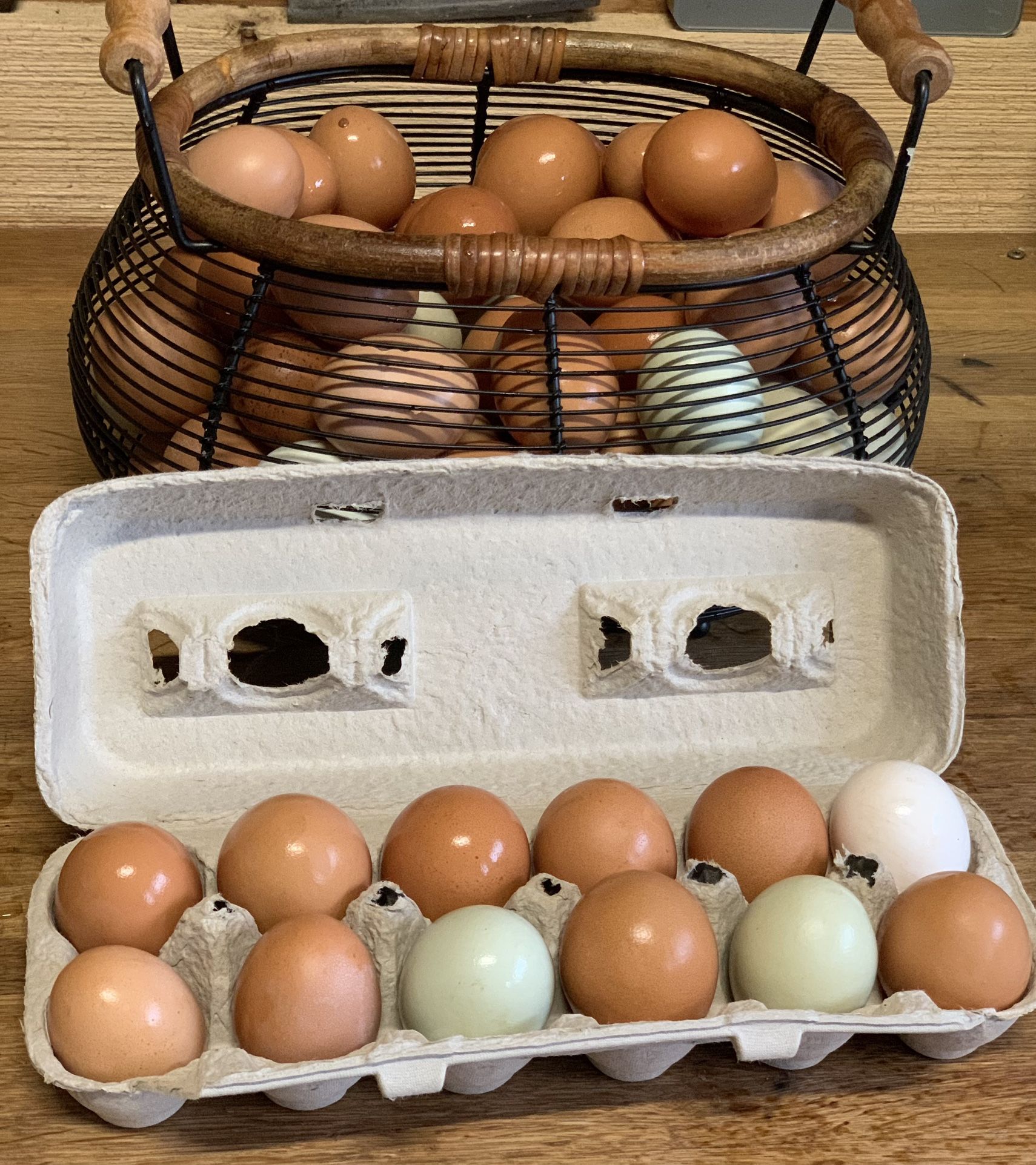 Free Range Chicken Eggs