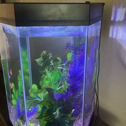 Aguarium