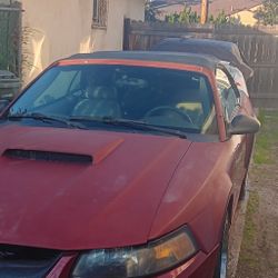 GT Mustang 2002 50k Original Miles 