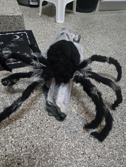 21 In led Black Spider spirit halloween