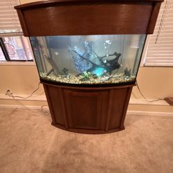 Full Fish Tank Setup With Fish And Everything Included