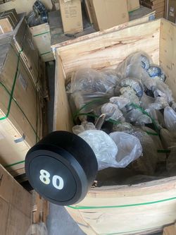 80 lb Fixed Curl Barbell