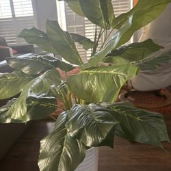 Beautiful Fake Plant