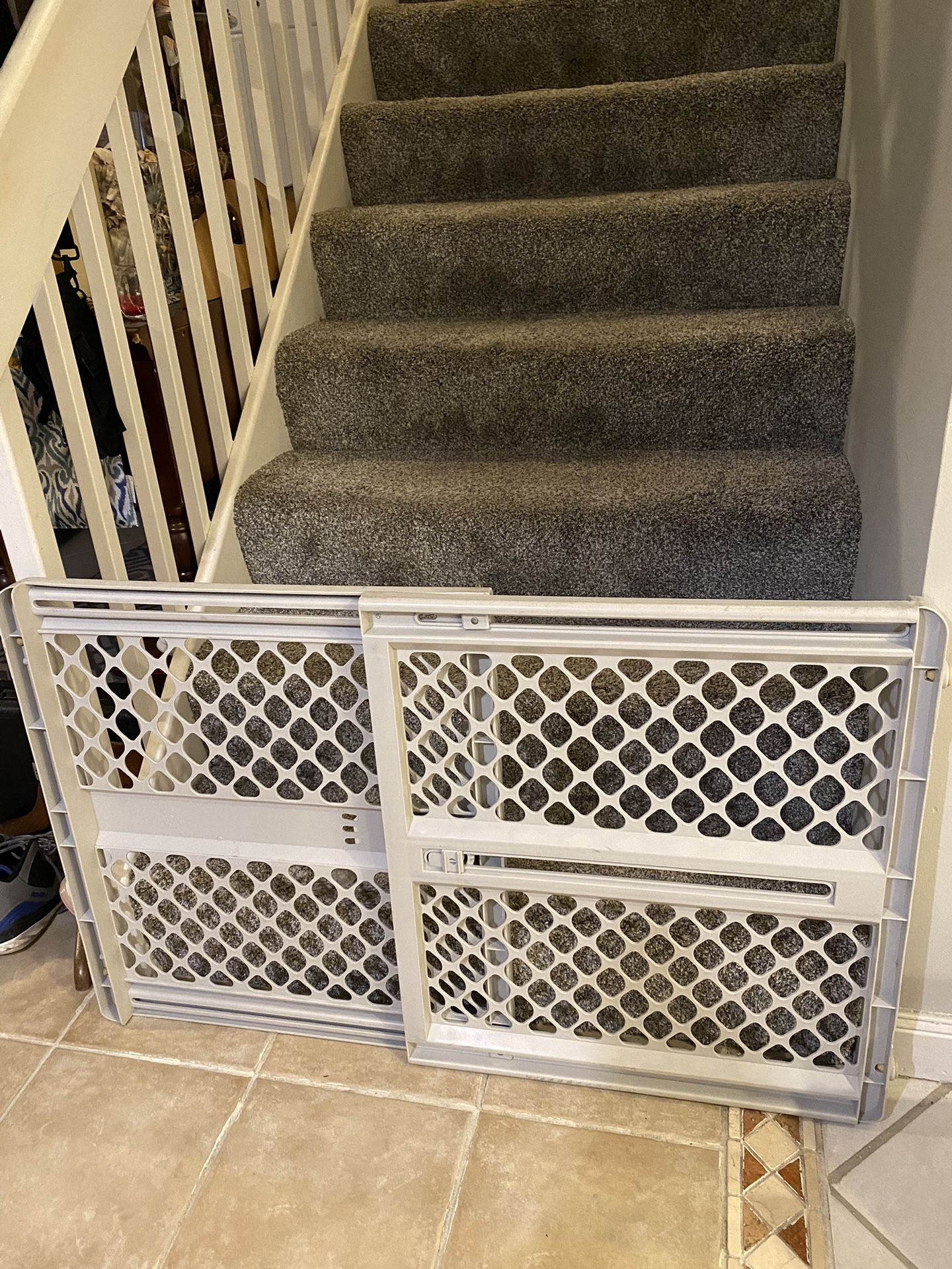 Dog Gate