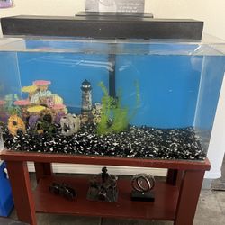 Fish Tank