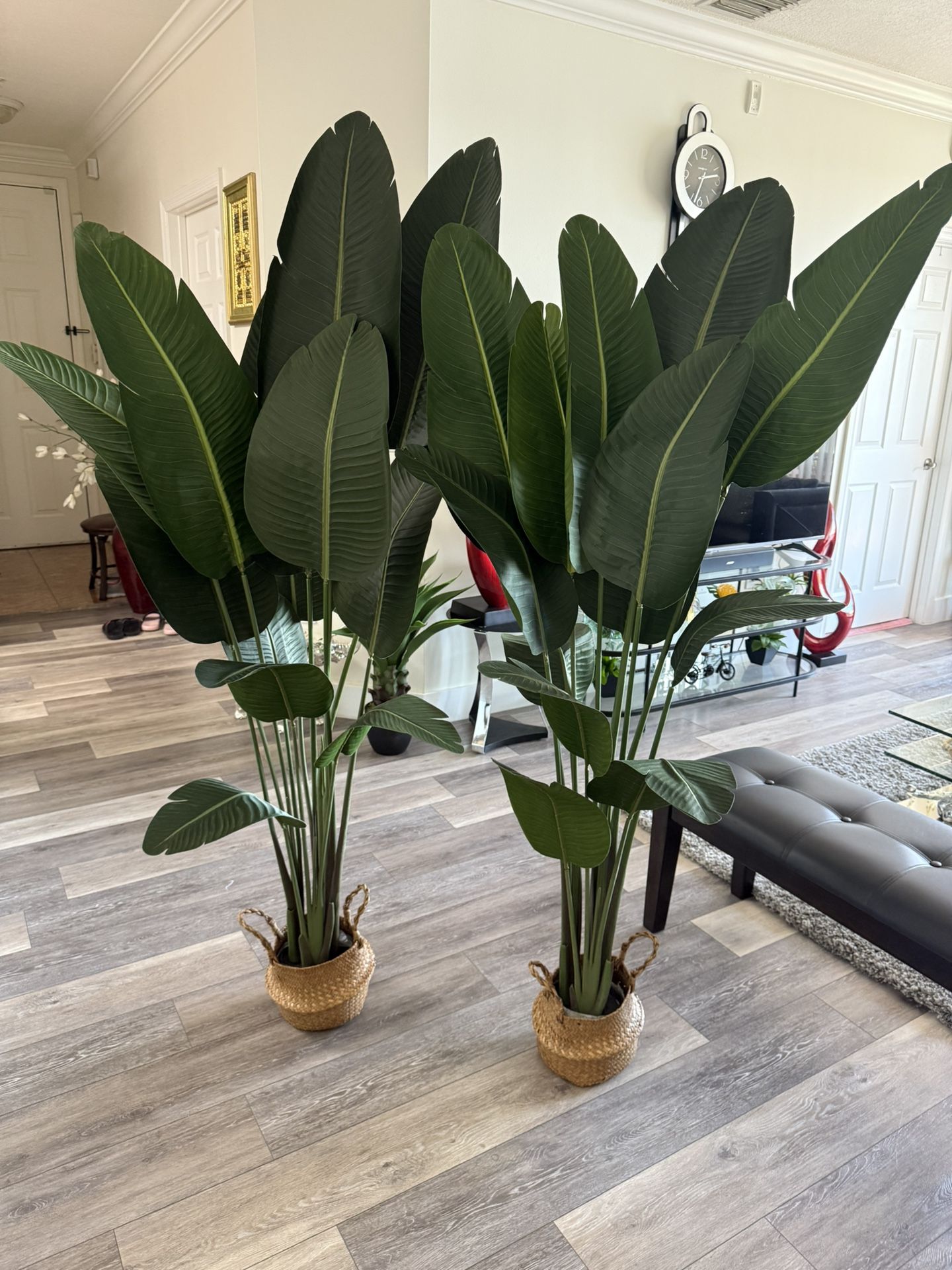 Pretty Artificial Plant 6 FT Tall Set Of 2 With Eoven Sea Grass Belly Basket ! Brand New