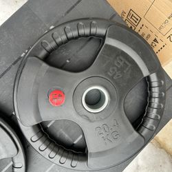 45 Lb Barbell Plate