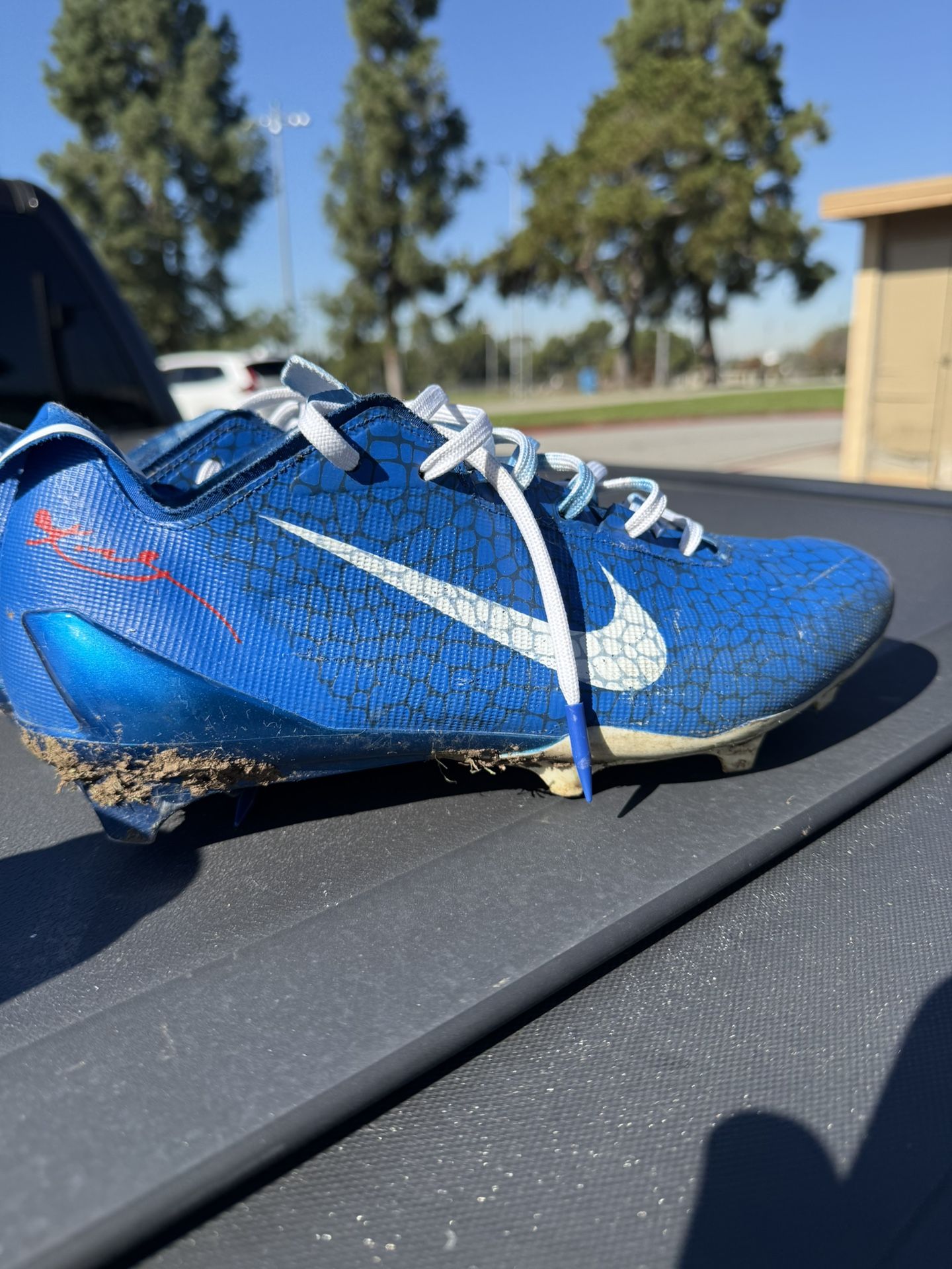 AdiZero Electrics Custom Paint Size 10