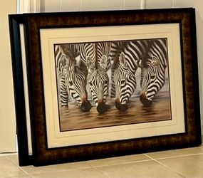 Zebra picture I paid 600 for this in 2010