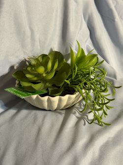 Artificial Succulent Mix in Shell Planter
