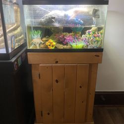 10 Gallon Fish Tank With Stand , Filter , Light , And Decorations 