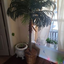 Need Gone 
