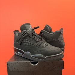 Air Jordan 4 2025 Black Cat 