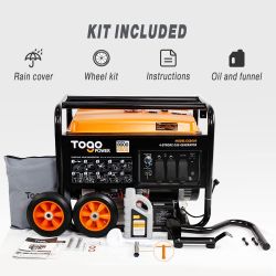 Portable Gas Generator