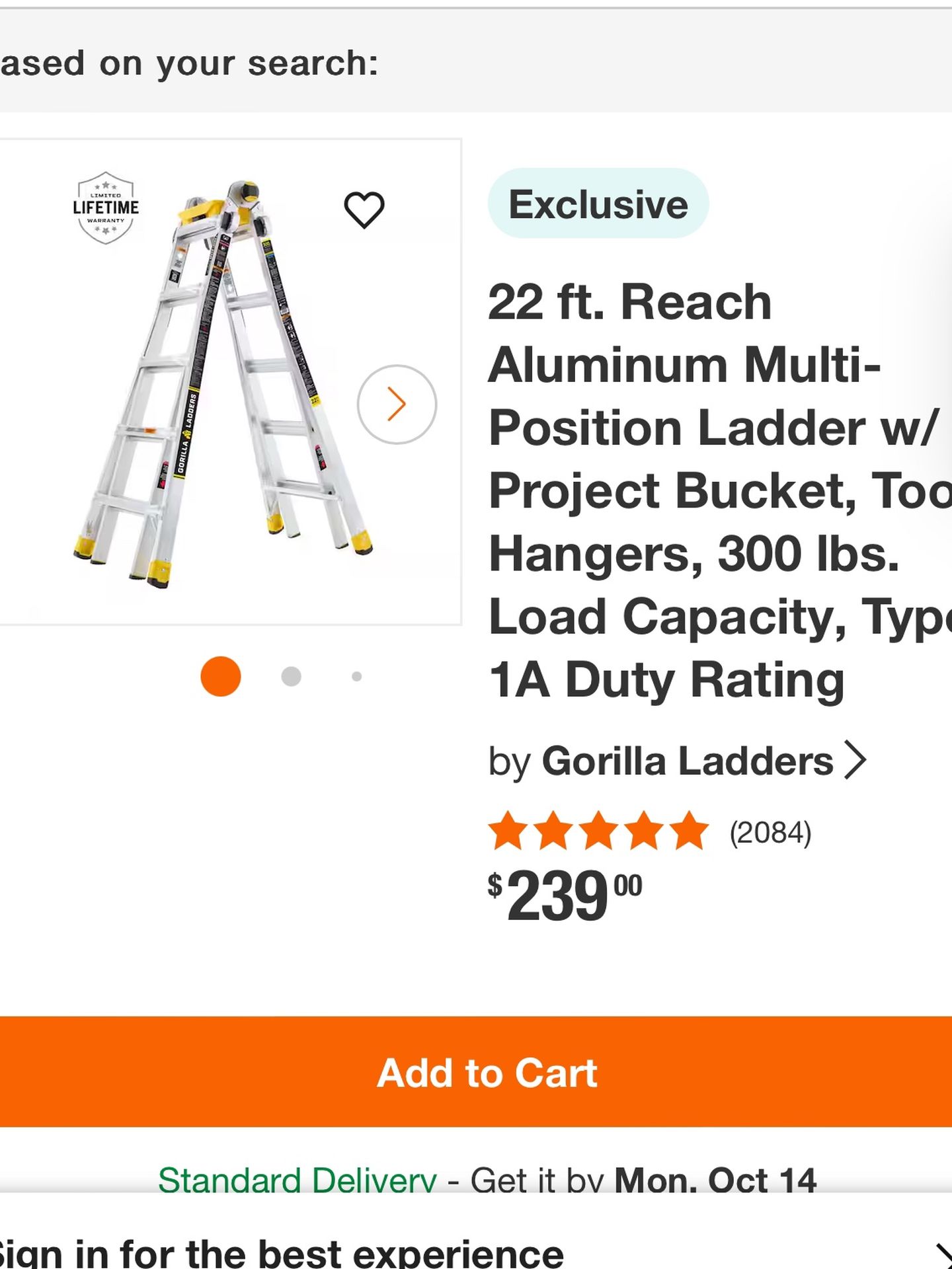 22ft Multipurpose Ladder