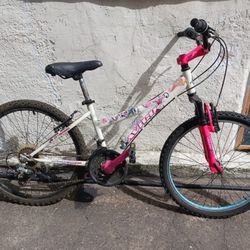Avigo bike 24 inch deals