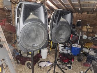 2Professional Edison 15in Built In Amp On Stand