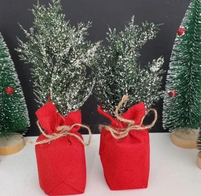 2 Small Artificial Christmas Plants With Frosted Leaves