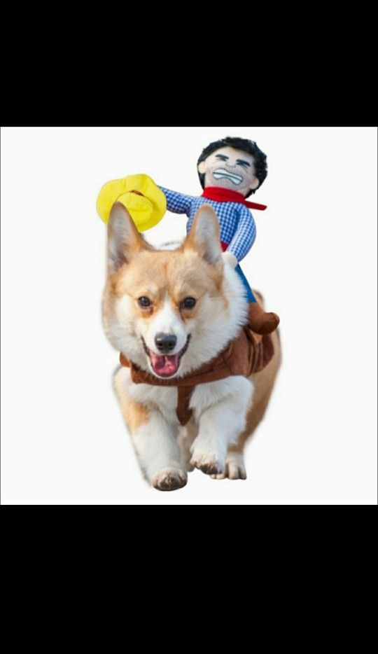 Cowboy Rider Dog Costume