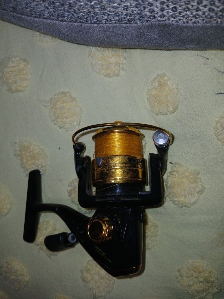 Nice Roddy Hunter Reel