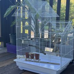 Birdcage 