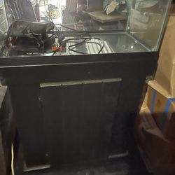 55 Gal & Stand Like New 