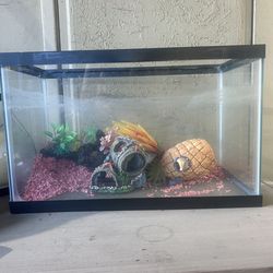 10-gallon Fish tank