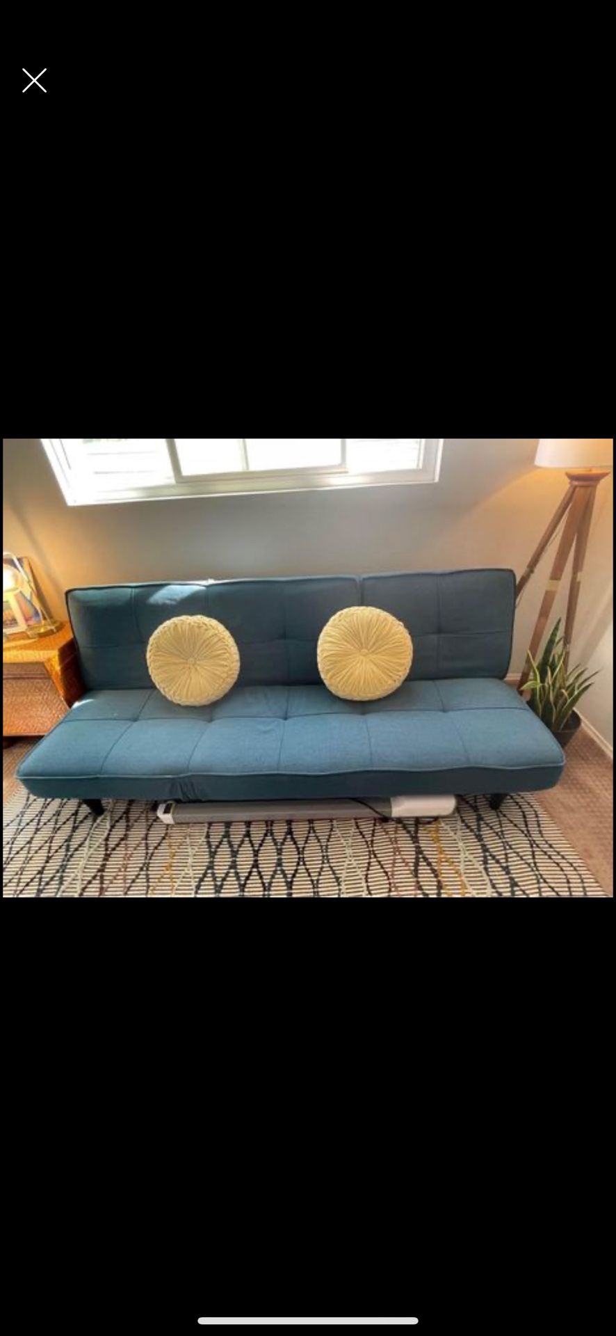 Sleeper Couch