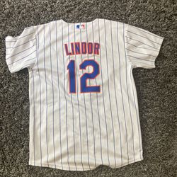 Francisco Lindor Jersey Youth Medium for Sale in Hastings Hdsn, NY - OfferUp