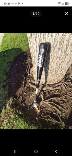 Baseball BAT "NICE BARREL " BBCORE WOOD 30 INCH. Check out my page for other Baseball Equip "CHEAP"