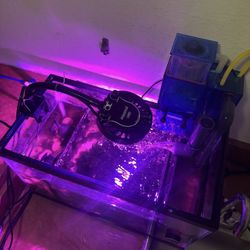 Saltwater Refugium Fish Tank with Kessil LED HOB Skimmer Pumps & more - Sump Aquarium 10 Gal
