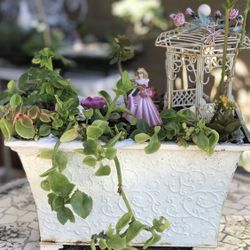 $30 Sleeping Beauty Inspired Garden