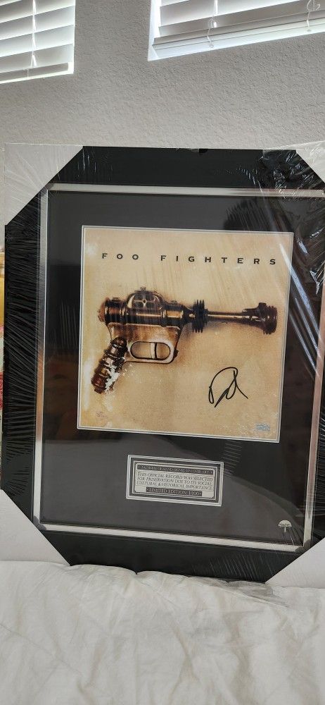 Foo Fighters Framed LP Cover Art