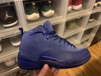 Jordan retro 12