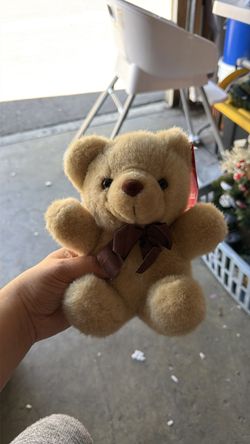 Small teddy bear
