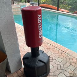 Free Standing Kick/punch Bag