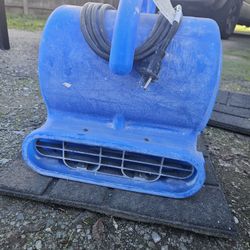 Comercial Carpet Dryer 