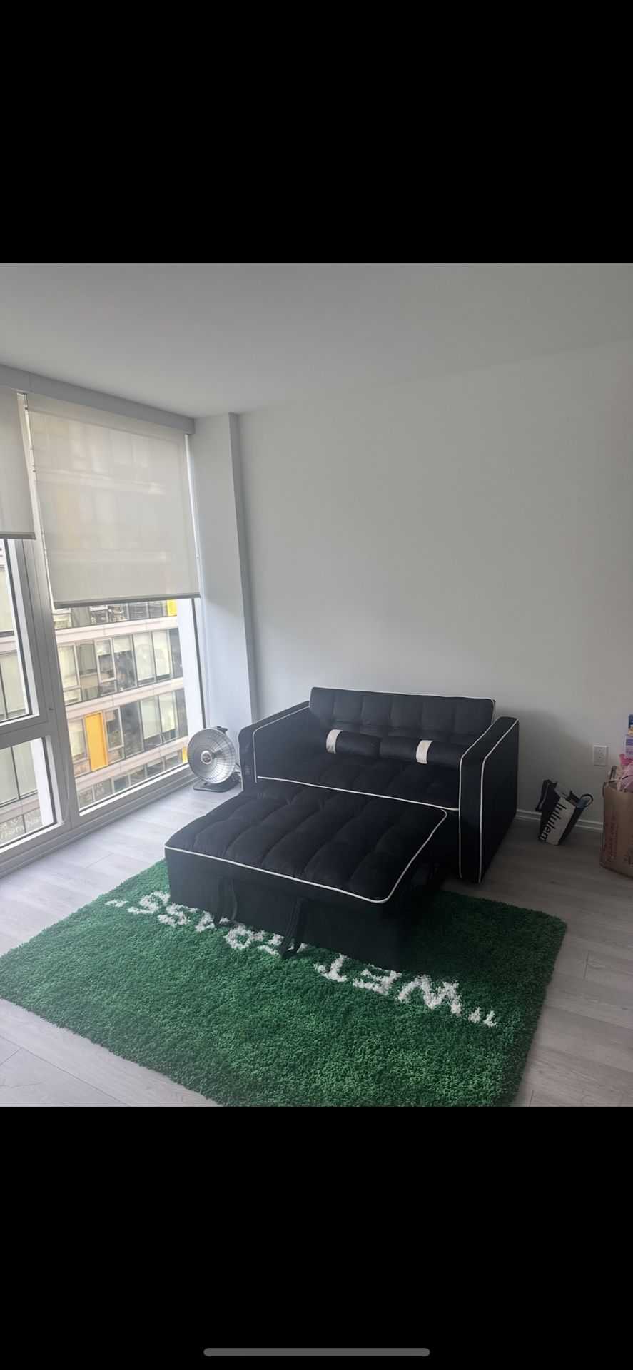 Sleeper Couch