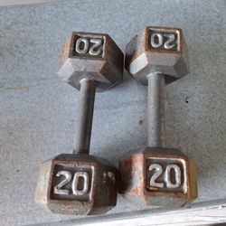 2-20 Lb Iron Hex Head Dumbbells 