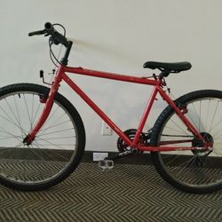 Trek Mountain Bike