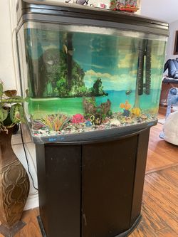 Fish Tank 30 g