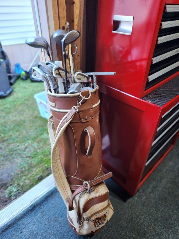 Various Golf Clubs & Bag