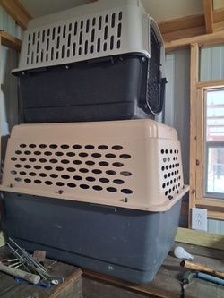 Dog cat crates& trap $200 takes all