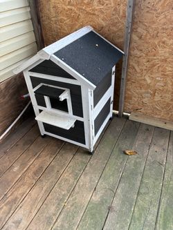 Heated cat house