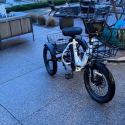  Electric Tricycle   Foldable Brand New 