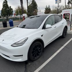Tesla 2021 Model Y 