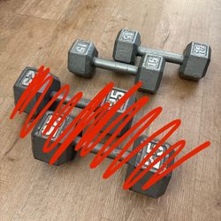 2x15 LB Dumbbell Set (30 Pounds Total)