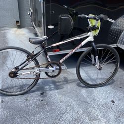 Redline Bike Size 20