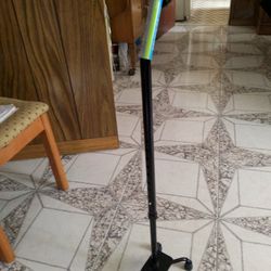 Cane